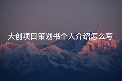 大创项目策划书个人介绍怎么写