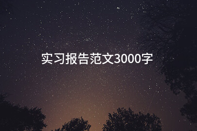 实习报告范文3000字