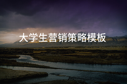 大学生营销策略模板