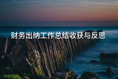财务出纳工作总结收获与反思