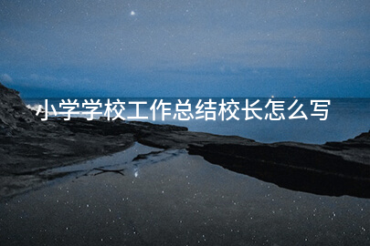 小学学校工作总结校长怎么写