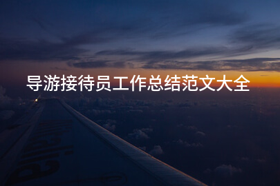 导游接待员工作总结范文大全