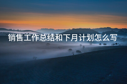 销售工作总结和下月计划怎么写