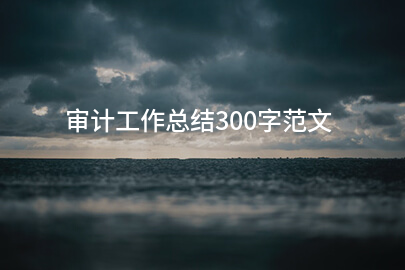 审计工作总结300字范文