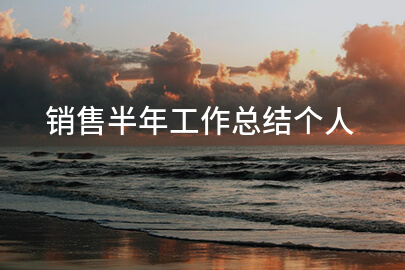 销售半年工作总结个人