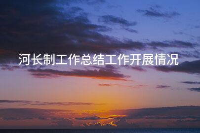 河长制工作总结工作开展情况