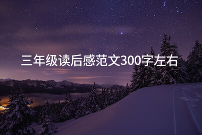三年级读后感范文300字左右