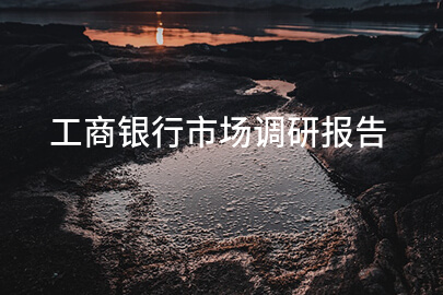 工商银行市场调研报告