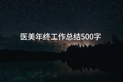 医美年终工作总结500字