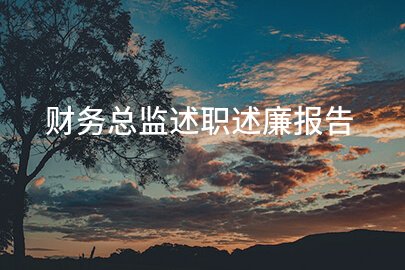 财务总监述职述廉报告