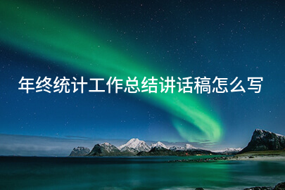 年终统计工作总结讲话稿怎么写