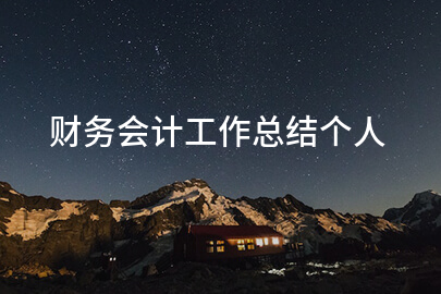 财务会计工作总结个人