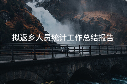 拟返乡人员统计工作总结报告