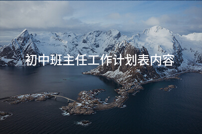 初中班主任工作计划表内容
