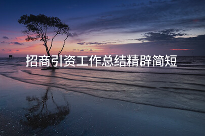 招商引资工作总结精辟简短