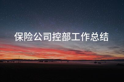 保险公司控部工作总结
