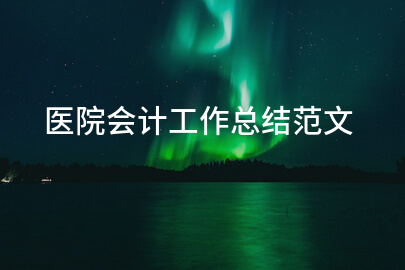 医院会计工作总结范文