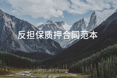 反担保质押合同范本