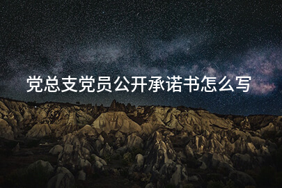 党总支党员公开承诺书怎么写