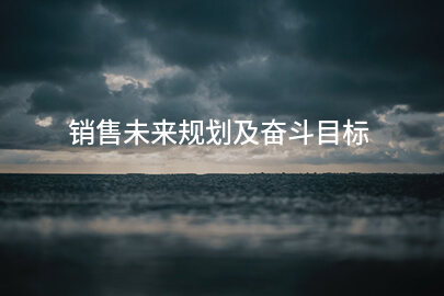 销售未来规划及奋斗目标