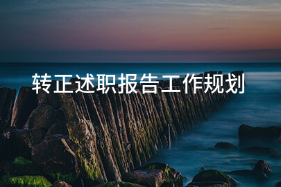 转正述职报告工作规划