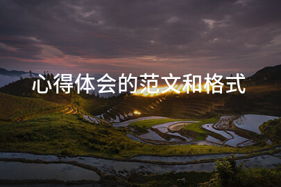 心得体会的范文和格式