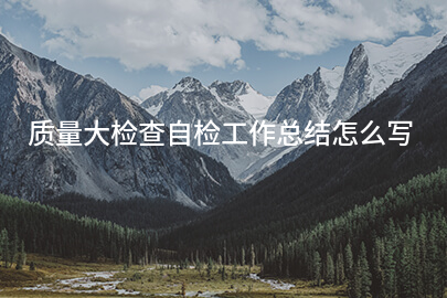 质量大检查自检工作总结怎么写
