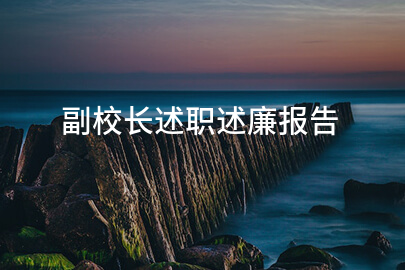 副校长述职述廉报告