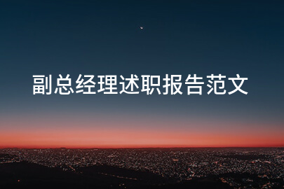 副总经理述职报告范文