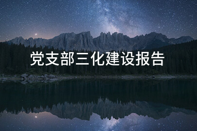 党支部三化建设报告