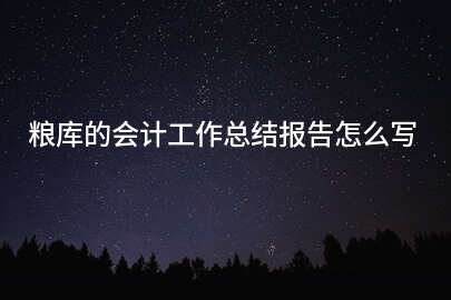粮库的会计工作总结报告怎么写