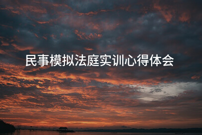 民事模拟法庭实训心得体会