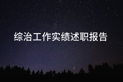 综治工作实绩述职报告