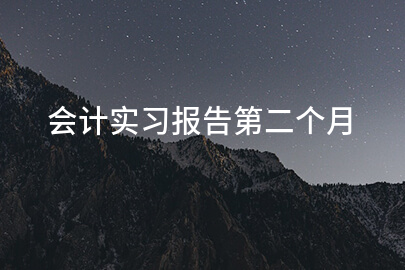 会计实习报告第二个月