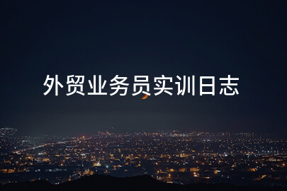 外貿業務員實訓日志