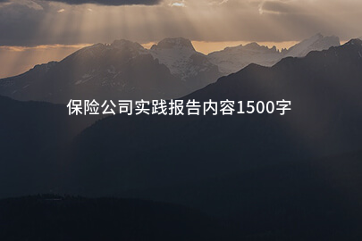 保险公司实践报告内容1500字