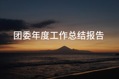 团委年度工作总结报告