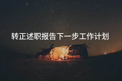 转正述职报告下一步工作计划