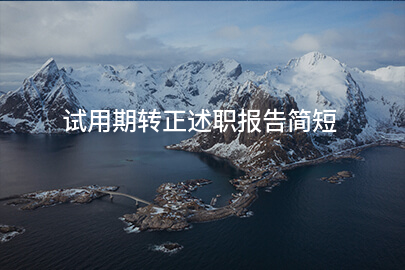 试用期转正述职报告简短