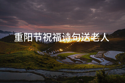 重阳节祝福诗句送老人
