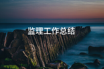 监理工作总结