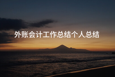 外账会计工作总结个人总结
