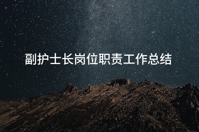 副护士长岗位职责工作总结