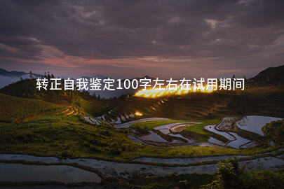 转正自我鉴定100字左右在试用期间