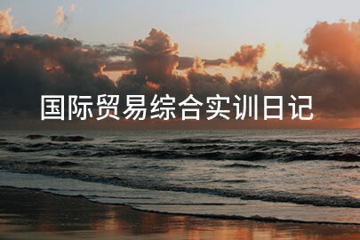 國際貿易綜合實訓日記