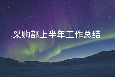 采购部上半年工作总结