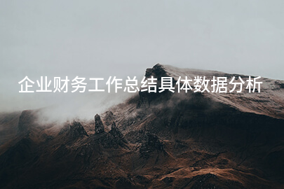 企业财务工作总结具体数据分析