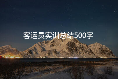 客运员实训总结500字