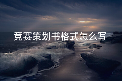 竞赛策划书格式怎么写