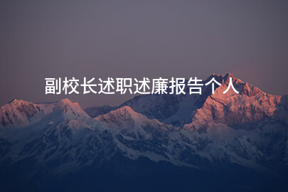 副校长述职述廉报告个人